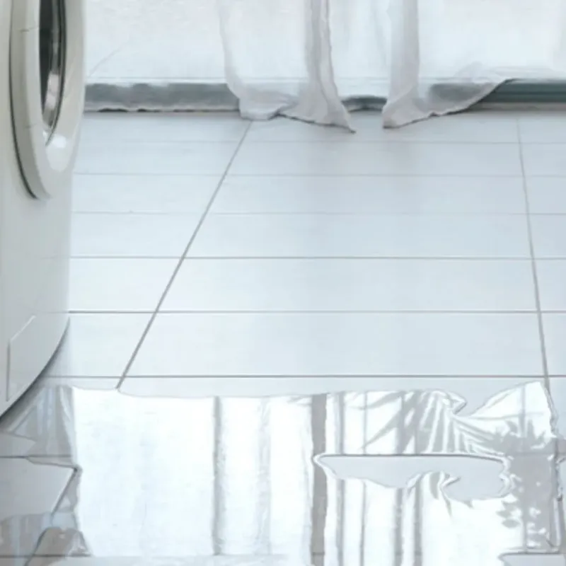 Appliance Leak Cleanup in Joshua, TX