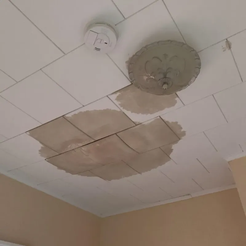 Ceiling Water Damage Repair in Joshua, TX