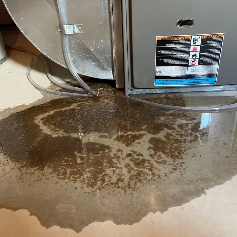 Pipe Burst and Leak Restoration in Joshua, TX