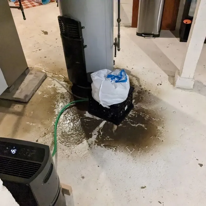 Sewage Backup Cleanup Service in Joshua, TX